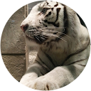 吉原章恵（ミオねこ）