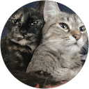 飯島奈月 飯島奈月