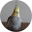 mokochan picchan mokochan picchan