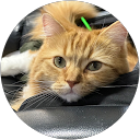 けい“ちゃちゃまる”