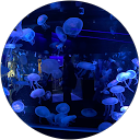 純喫茶まめもやし